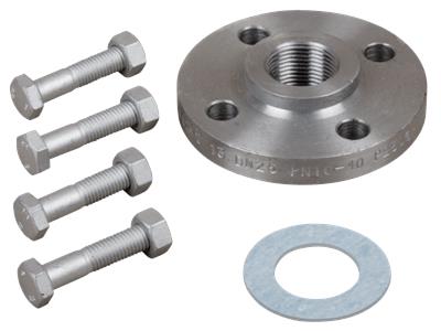 GRUNDFOS Gewindeflansch Art. 405284