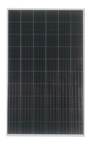 Tainergy Tech Co., Ltd. - Solarmodul - Poly 260-285 275 - Art. 179897