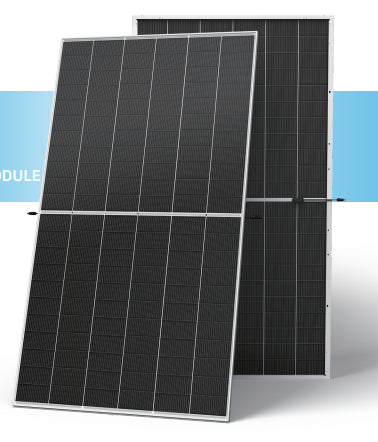 Trina Solar Solarmodul Vertex N TSM710-NEG21C.20