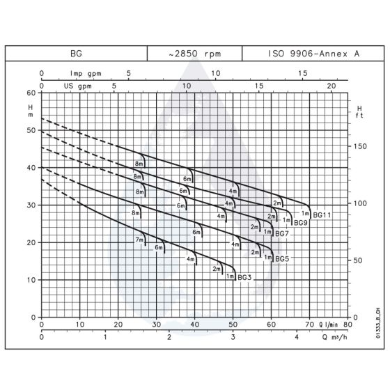 LOWARA BGM11/C E2 Selbstansaugende horizontale Kreiselpumpe mit Ejektor -Art. 107320A40