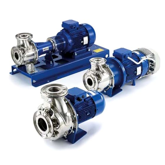 LOWARA ESHE 32-250/110/P25VSSA Blockpumpe aus Edelstahl nach EN 733 mit verlängerter Welle -Art.101860240