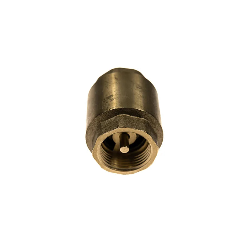 Lechar ZZ2 Rückschlagventil 3/4"
