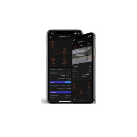 Wattsonic LAN-Modul