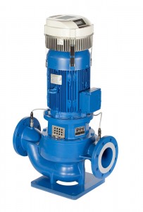 Lowara Inline-Pumpe  LNEEH 40-125/11/S25RCS4