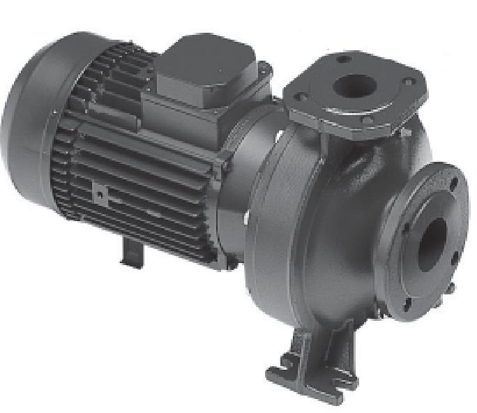 LOWARA Kreiselpumpe FHBE4 65-200/22/P